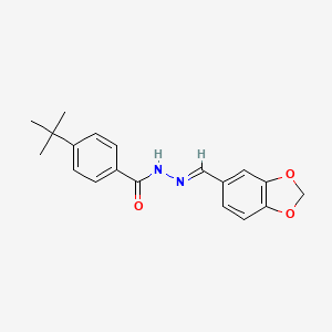 molecular formula C19H20N2O3 B15042442 N'-[(E)-1,3-benzodioxol-5-ylmethylidene]-4-tert-butylbenzohydrazide 
