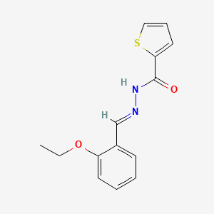 molecular formula C14H14N2O2S B15042829 N'-(2-ethoxybenzylidene)-2-thiophenecarbohydrazide 