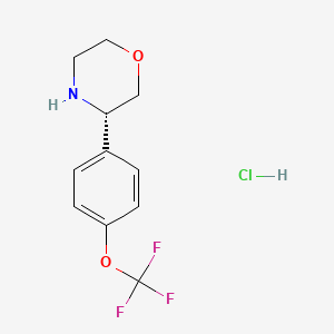 molecular formula C11H13ClF3NO2 B15047098 (3S)-3-[4-(trifluoromethoxy)phenyl]morpholine hydrochloride 