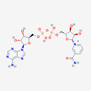 molecular formula C21H28N7O14P2+ B150497 Nicotinamide-Adenine-Dinucleotide CAS No. 65085-09-8