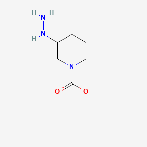 molecular formula C10H21N3O2 B15059228 Tert-butyl 3-hydrazinylpiperidine-1-carboxylate 