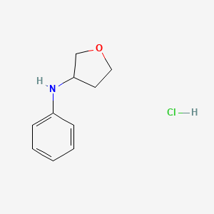 molecular formula C10H14ClNO B15061003 N-Phenyloxolan-3-amine hydrochloride CAS No. 1955506-47-4