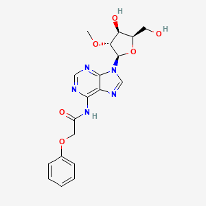 molecular formula C19H21N5O6 B15061908 N-[9-[(2R,3R,4S,5R)-4-hydroxy-5-(hydroxymethyl)-3-methoxyoxolan-2-yl]purin-6-yl]-2-phenoxyacetamide 