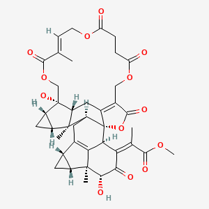 molecular formula C40H44O13 B1506276 shizukaol B 