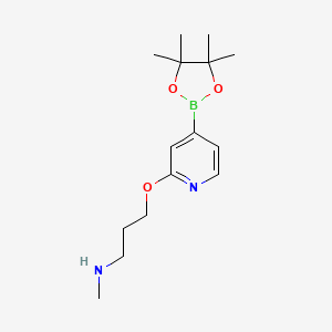 molecular formula C15H25BN2O3 B15062981 N-Methyl-3-((4-(4,4,5,5-tetramethyl-1,3,2-dioxaborolan-2-yl)pyridin-2-yl)oxy)propan-1-amine CAS No. 1346697-32-2