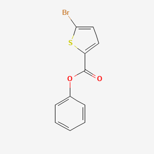molecular formula C11H7BrO2S B15063703 Phenyl 5-bromothiophene-2-carboxylate 