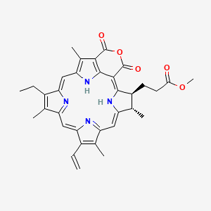 molecular formula C34H34N4O5 B15073696 Purpurin 18 methyl ester 