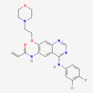 molecular formula C23H23ClFN5O3 B15073962 N-[4-(3-chloro-4-fluoroanilino)-7-(2-morpholin-4-ylethoxy)quinazolin-6-yl]prop-2-enamide 