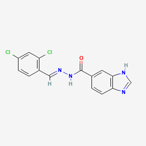 molecular formula C15H10Cl2N4O B15077885 N'-(2,4-Dichlorobenzylidene)-1H-benzimidazole-6-carbohydrazide 