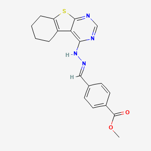molecular formula C19H18N4O2S B15078263 methyl 4-[(E)-(5,6,7,8-tetrahydro[1]benzothieno[2,3-d]pyrimidin-4-ylhydrazono)methyl]benzoate 