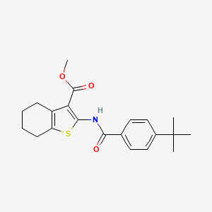 molecular formula C21H25NO3S B15081499 Methyl 2-{[(4-tert-butylphenyl)carbonyl]amino}-4,5,6,7-tetrahydro-1-benzothiophene-3-carboxylate 