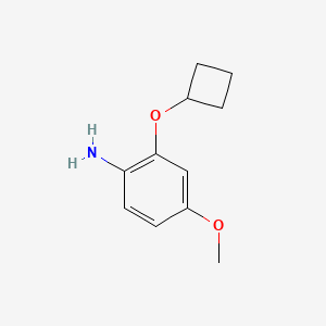 molecular formula C11H15NO2 B15090901 2-Cyclobutoxy-4-methoxyaniline 