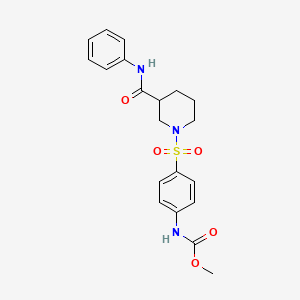 molecular formula C20H23N3O5S B15102837 (1-{[4-(methoxycarbonylamino)phenyl]sulfonyl}(3-piperidyl))-N-benzamide 