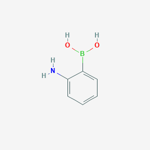 molecular formula C6H8BNO2 B151050 2-Aminophenylboronic acid CAS No. 5570-18-3