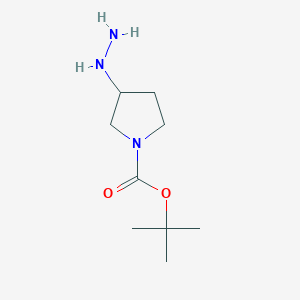 molecular formula C9H19N3O2 B1510813 tert-Butyl 3-hydrazinylpyrrolidine-1-carboxylate 