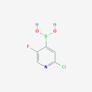 2-Chloro-5-fluoropyridine-4-boronic acid
