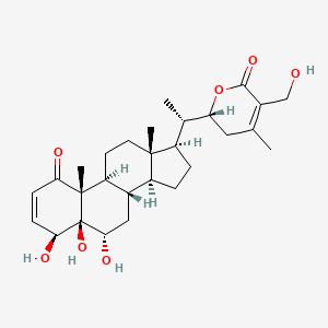 molecular formula C28H40O7 B1511177 2,3-Didehydrosomnifericin CAS No. 173614-88-5