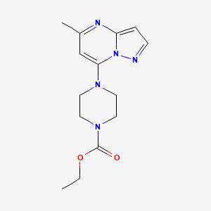 molecular formula C14H19N5O2 B15117393 Ethyl 4-{5-methylpyrazolo[1,5-a]pyrimidin-7-yl}piperazine-1-carboxylate 