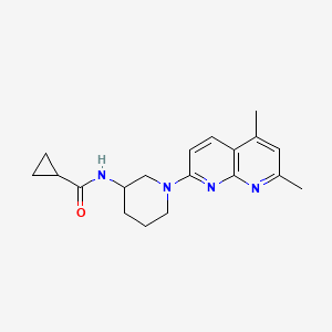 molecular formula C19H24N4O B15120121 N-[1-(5,7-dimethyl-1,8-naphthyridin-2-yl)piperidin-3-yl]cyclopropanecarboxamide 