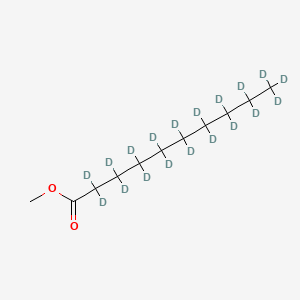 molecular formula C11H22O2 B15125771 Methyl decanoate-D19 