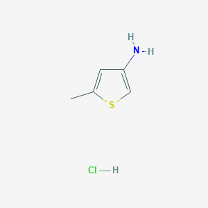 molecular formula C5H8ClNS B1512920 5-Methylthiophen-3-amine hydrochloride CAS No. 24030-01-1