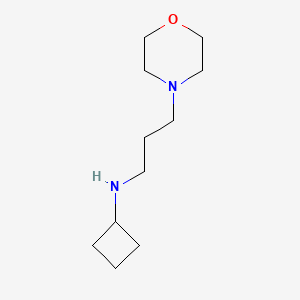 molecular formula C11H22N2O B15130823 N-(3-morpholinopropyl)cyclobutanamine 