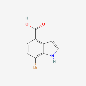 molecular formula C9H6BrNO2 B15131422 7-bromo-1H-indole-4-carboxylic acid 