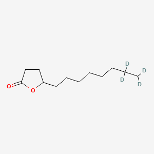 molecular formula C12H22O2 B15136696 5-Octyldihydrofuran-2(3H)-one-d4 