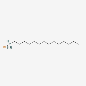 molecular formula C15H31Br B15138838 1-Bromopentadecane-1-13C 