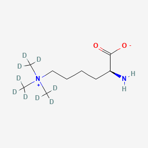 molecular formula C9H20N2O2 B15139054 Trimethyllysine-d9 