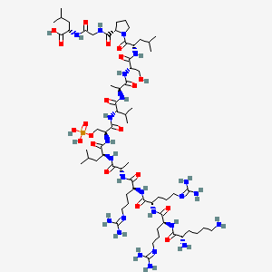 molecular formula C66H123N24O20P B15139812 CCK1-specific peptide substrate 