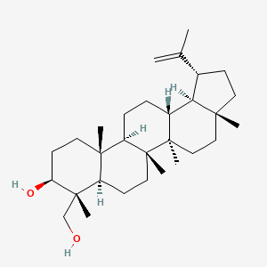 molecular formula C30H50O2 B15140325 Lup-20(29)-Ene-3bate,23-Diol 