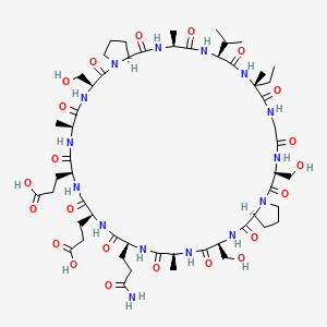 molecular formula C55H87N15O22 B15141872 CXJ-2 