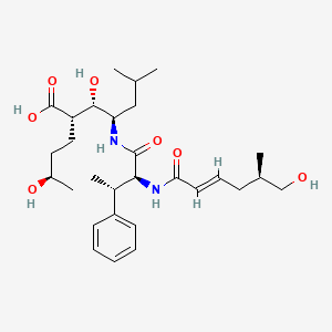 molecular formula C29H46N2O7 B15143813 Micromonosporamide A 