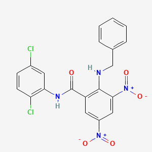 molecular formula C20H14Cl2N4O5 B15151077 2-(benzylamino)-N-(2,5-dichlorophenyl)-3,5-dinitrobenzamide 