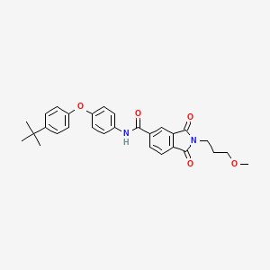 molecular formula C29H30N2O5 B15151258 N-[4-(4-tert-butylphenoxy)phenyl]-2-(3-methoxypropyl)-1,3-dioxoisoindole-5-carboxamide 