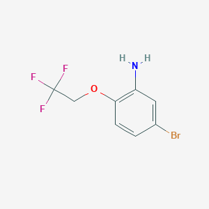 molecular formula C8H7BrF3NO B1517163 5-Bromo-2-(2,2,2-trifluoroethoxy)aniline CAS No. 1019121-52-8