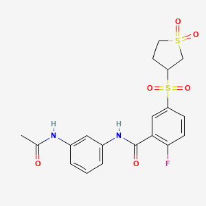 molecular formula C19H19FN2O6S2 B15172697 N-[3-(acetylamino)phenyl]-5-[(1,1-dioxidotetrahydrothiophen-3-yl)sulfonyl]-2-fluorobenzamide 
