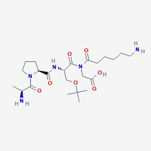 molecular formula C23H41N5O7 B15173398 L-Alanyl-L-prolyl-O-tert-butyl-L-seryl-N-(6-aminohexanoyl)glycine CAS No. 920746-53-8
