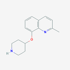 molecular formula C15H18N2O B15174291 2-Methyl-8-piperidin-4-yloxyquinoline 