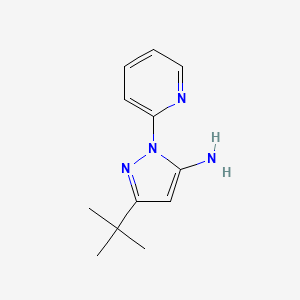 molecular formula C12H16N4 B1517842 3-tert-butyl-1-(pyridin-2-yl)-1H-pyrazol-5-amine CAS No. 862368-62-5