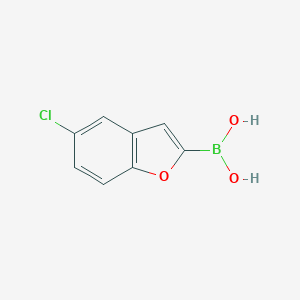 molecular formula C8H6BClO3 B151794 (5-Chlorobenzofuran-2-yl)boronic acid CAS No. 223576-64-5