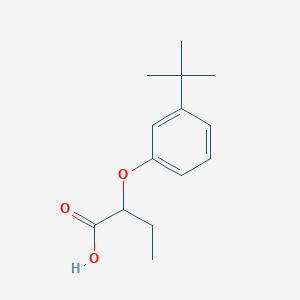 molecular formula C14H20O3 B1518631 2-(3-Tert-butylphenoxy)butanoic acid CAS No. 1157985-51-7