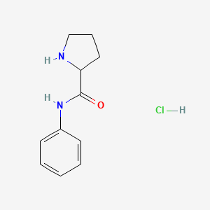 molecular formula C11H15ClN2O B1518697 N-phenylpyrrolidine-2-carboxamide hydrochloride CAS No. 1078162-90-9
