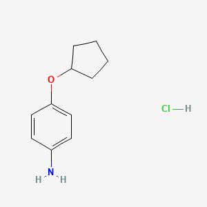 4-(Cyclopentyloxy)aniline hydrochloride