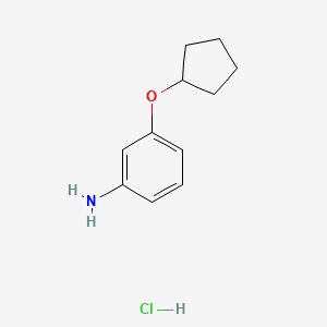 3-(Cyclopentyloxy)aniline hydrochloride
