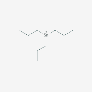 molecular formula C9H21Sn+ B15187550 Tripropyltin CAS No. 2618-01-1