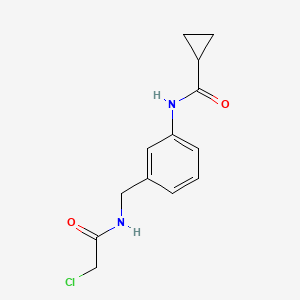 N-(3-{[(2-chloroacetyl)amino]methyl}phenyl)cyclopropanecarboxamide