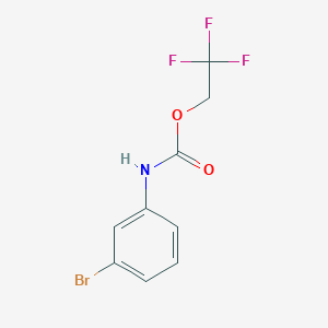 molecular formula C9H7BrF3NO2 B1518901 2,2,2-trifluoroethyl N-(3-bromophenyl)carbamate CAS No. 1087797-98-5