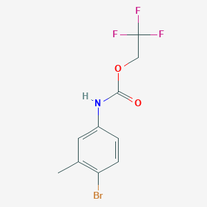 molecular formula C10H9BrF3NO2 B1518903 2,2,2-Trifluoroethyl 4-bromo-3-methylphenylcarbamate CAS No. 1087788-77-9